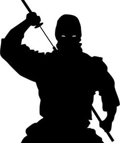 SecurityNinja
